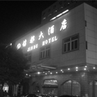 ������Ƶ�